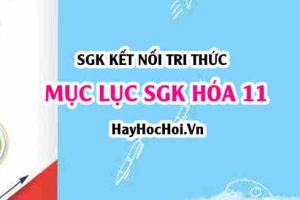 Mục lục SGK Hóa 11 Kết nối tri thức - Lý thuyết và bài tập Hóa 11 SGK Kết nối tri thức